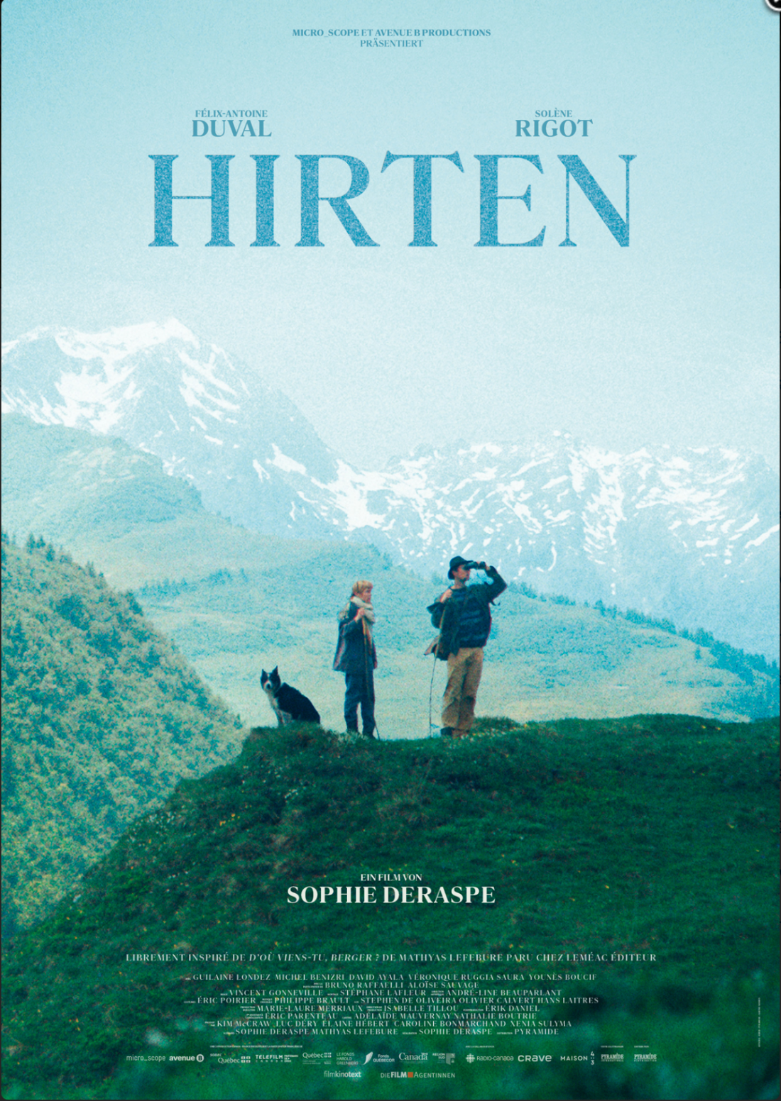 HIRTEN mit 827 Schafen in der Provence